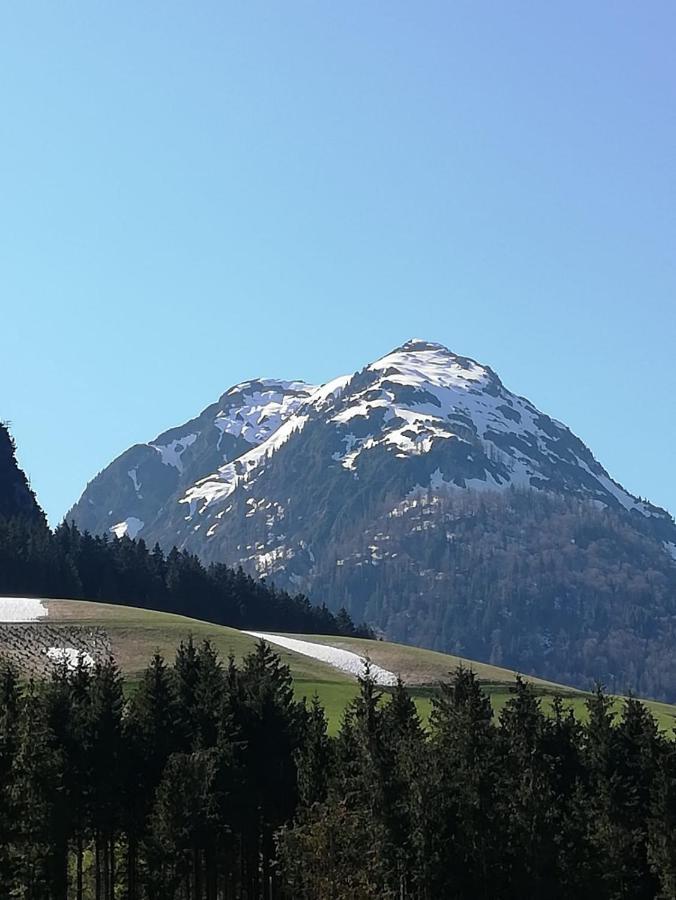 Appartement Leh Annaberg im Lammertal Exterior foto