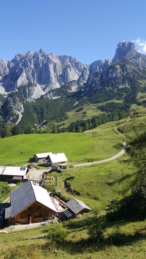 Appartement Leh Annaberg im Lammertal Exterior foto